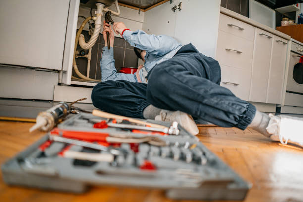 Best Commercial Plumbing Services  in Lake Fenton, MI