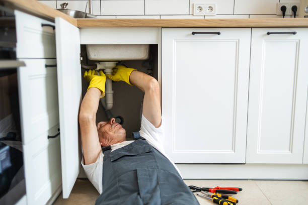 Best Commercial Plumbing Services  in Lake Fenton, MI