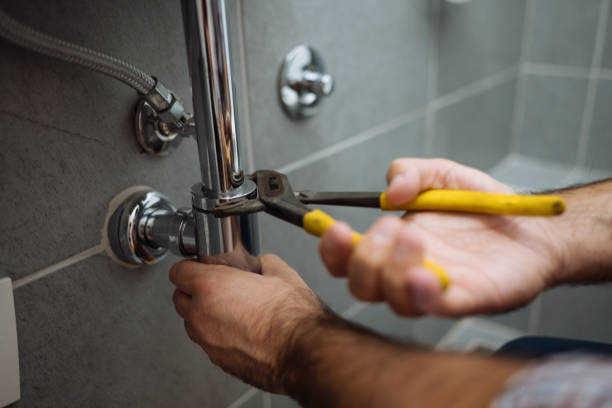 Best Emergency Plumber  in Lake Fenton, MI