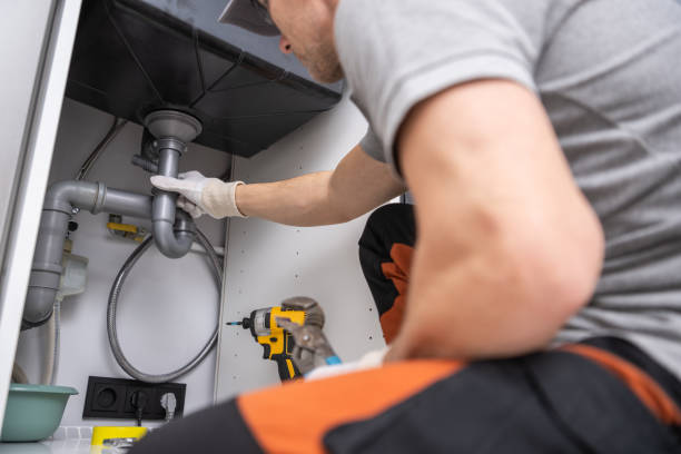 Best Affordable Plumbing Services  in Lake Fenton, MI